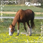 Kismie