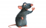 ratatouille13