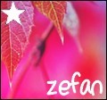 zefan